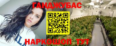 индика Беслан