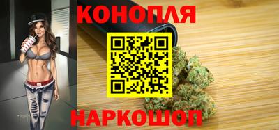 индика Беслан