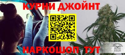 индика Беслан
