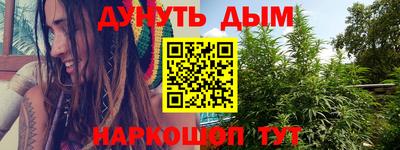 индика Беслан